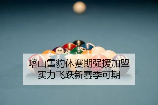 喀山雪豹休赛期强援加盟 实力飞跃新赛季可期